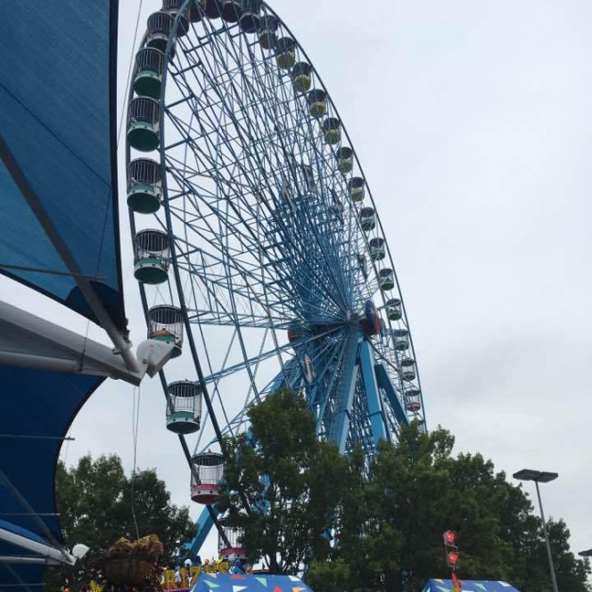 22045666_1482791635089997_4275450755784319564_n