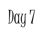 Day 7